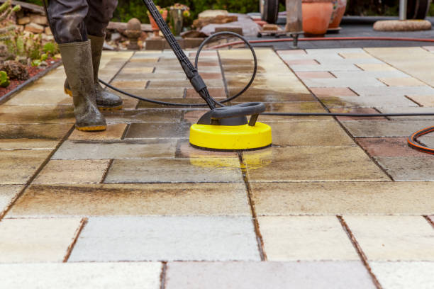 Animal Enclosure Cleaning in Canyon, TX